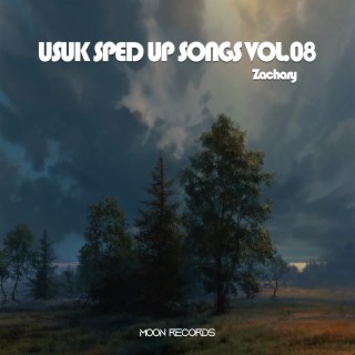USUK SPED UP SONGS VOL.08
