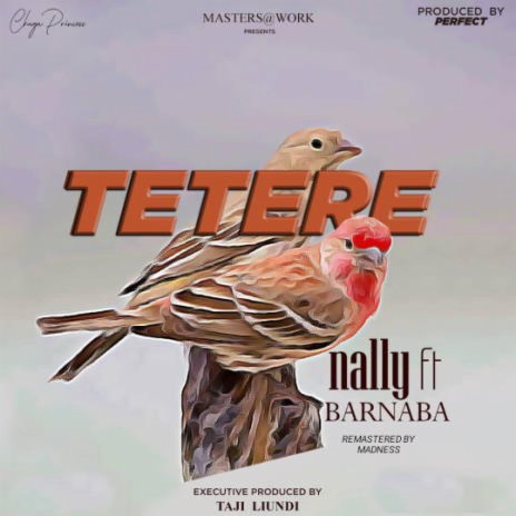 Tetere ft. Barnaba | Boomplay Music