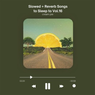 Slowed + Reverb Songs to Sleep to Vol.16