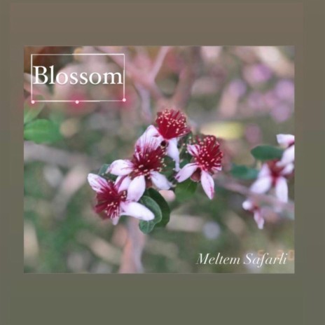 Blossom (waltz) | Boomplay Music