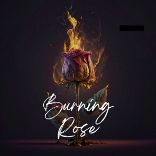 Burning Rose