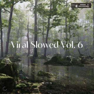 Viral Slowed Vol. 6