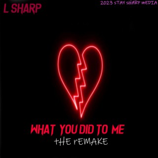 What You Did To Me (The Remake) lyrics | Boomplay Music