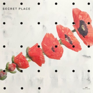 Secret Place (Live)