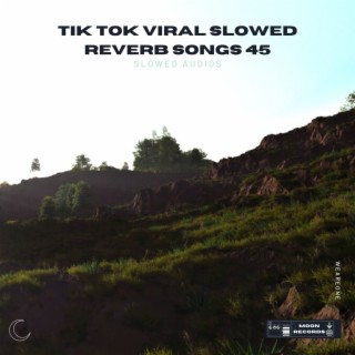 Tik Tok Viral Slowed Reverb Songs 45