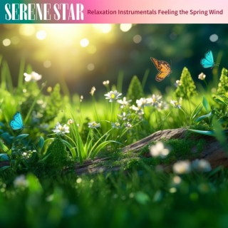 Relaxation Instrumentals Feeling the Spring Wind