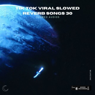 Tik Tok Viral Slowed Reverb Songs 30