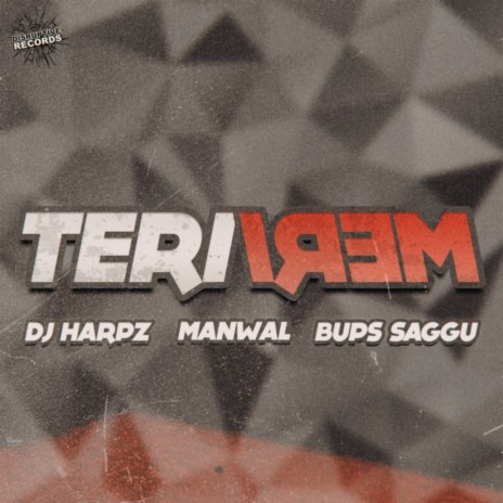 Teri Meri ft. Manwal & DJ Harpz