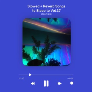 Slowed + Reverb Songs to Sleep to Vol.37