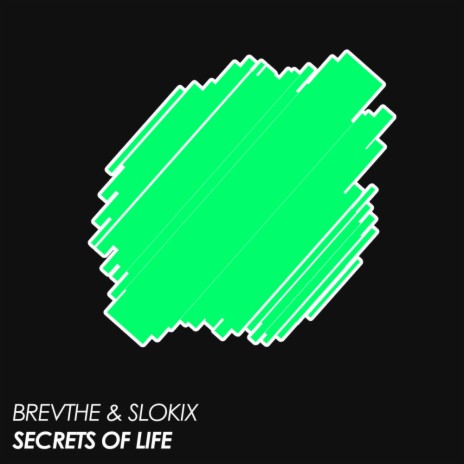 Secrets Of Life (Extended Mix) ft. Slokix