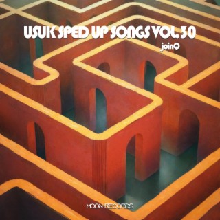 USUK SPED UP SONGS VOL.30