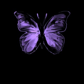 Butterflies (Instrumental)