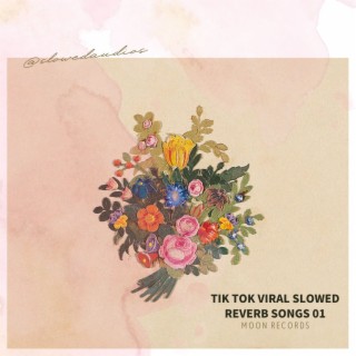 Tik Tok Viral Slowed Reverb Songs 01