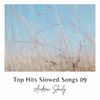 Top Hits Slowed Songs 09