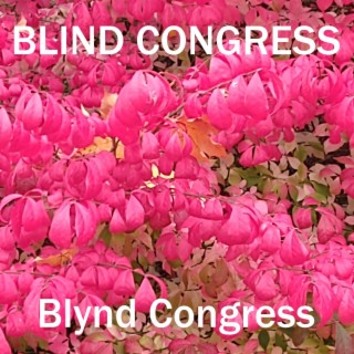 Blynd Congress