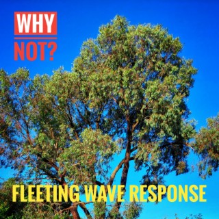 Fleeting Wave Response