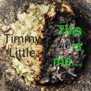 Timmy Little
