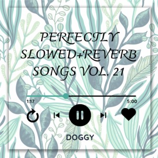 Perfectly Slowed+Reverb Songs Vol. 21