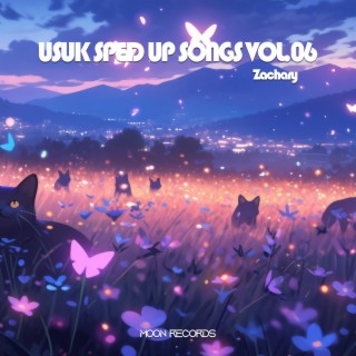 USUK SPED UP SONGS VOL.06