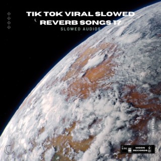 Tik Tok Viral Slowed Reverb Songs 17