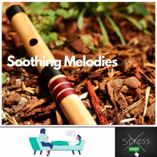 Soothing Melodies: Harmonious Sounds for Stress Relief