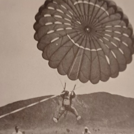 Parachute Guy | Boomplay Music