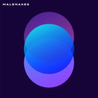 Malenakes