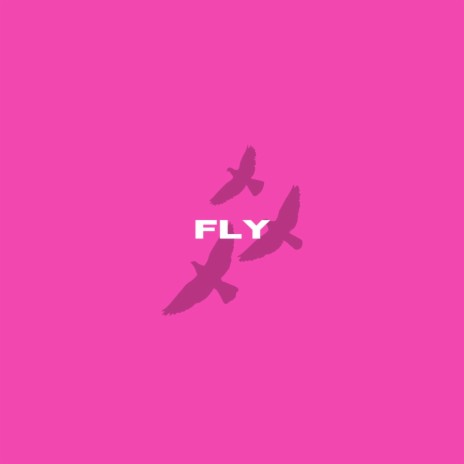 FLY