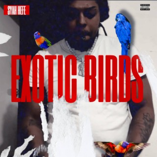 Exotic Birds