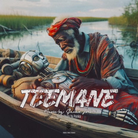 Teemane ft. Tholo Ya Ponka | Boomplay Music