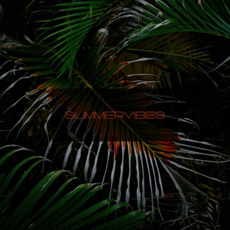 Summervibes ft. Leonsè | Boomplay Music