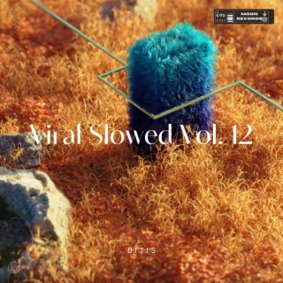 Viral Slowed Vol. 12