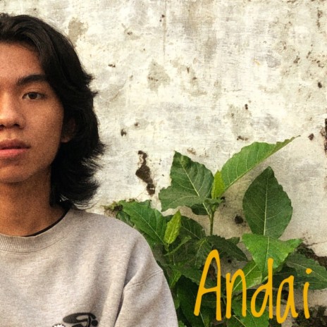 Andai | Boomplay Music