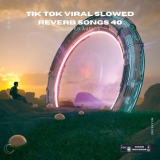 Tik Tok Viral Slowed Reverb Songs 40