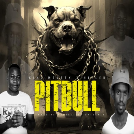 Pitbull Hit (King Marley x Hitler SA) (Radio Edit) | Boomplay Music