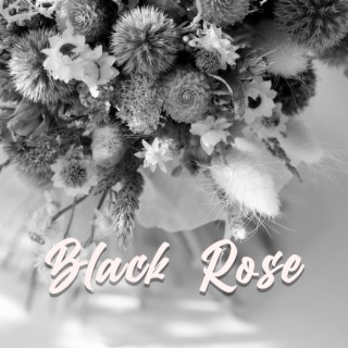 Black Rose