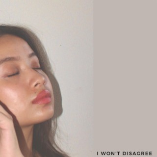 i won't disagree lyrics | Boomplay Music