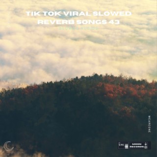 Tik Tok Viral Slowed Reverb Songs 43