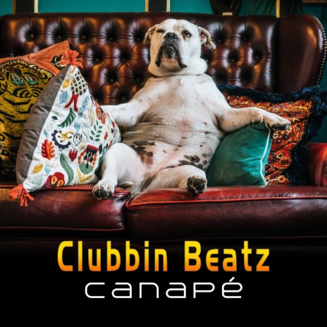 Canapé | Boomplay Music