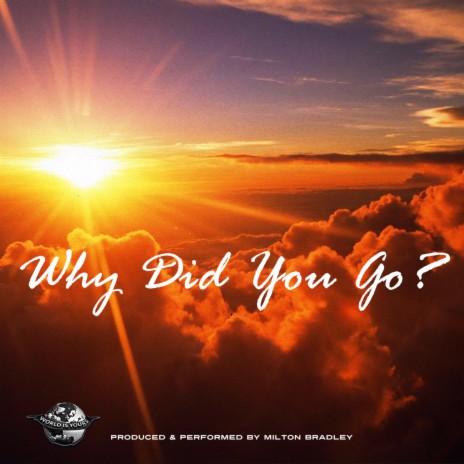 Why Did You Go? | Boomplay Music