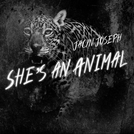 She's an Animal | Boomplay Music