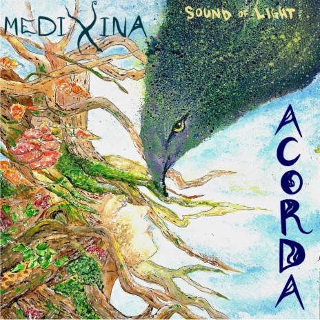 Acorda (Instrumental) | Boomplay Music