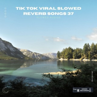 Tik Tok Viral Slowed Reverb Songs 37