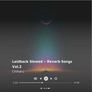 Laidback Slowed + Reverb Songs Vol.2