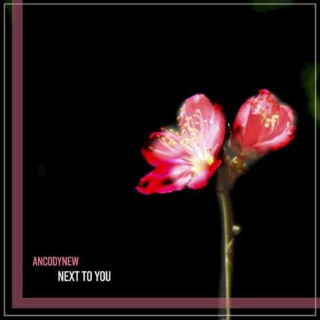 Next To You (Extended Mix)
