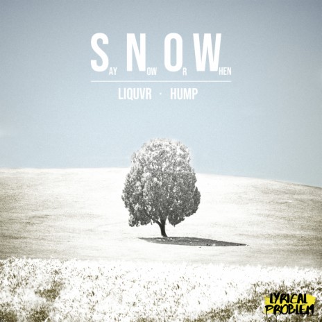 SNOW ft. seora | Boomplay Music