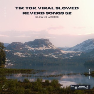 Tik Tok Viral Slowed Reverb Songs 52