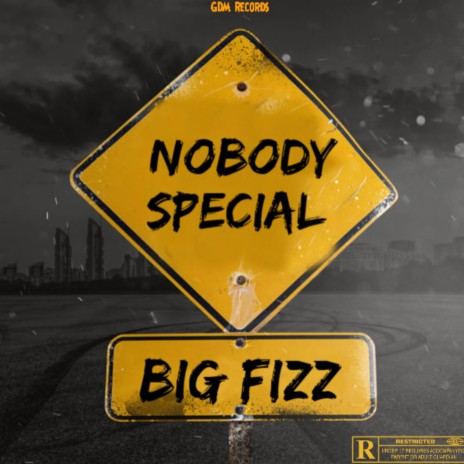 Nobody Special | Boomplay Music
