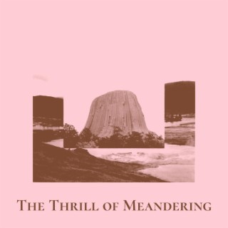 The Thrill of Meandering