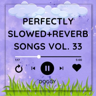 Perfectly Slowed+Reverb Songs Vol. 33